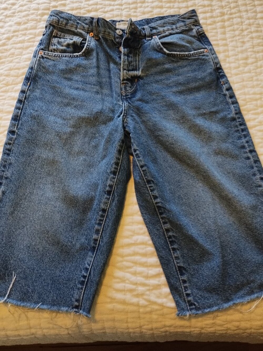 Free People We The Free Jam Session Relaxed Capri Jeans color Solo 27 4